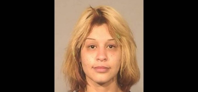 Woman allegedly used stolen identities to purchase auto insurance and a file fraudulent claim