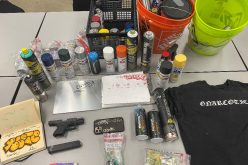 Grass Valley police seek whereabouts of second vandalism suspect