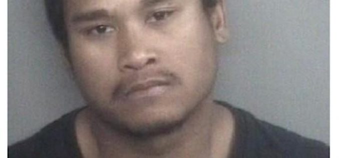 Felon Arrested For Auto Theft and Evading
