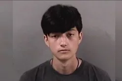 Teenage Hacker Arrested for Targeting Schoolgirls, Distributing Child Pornography