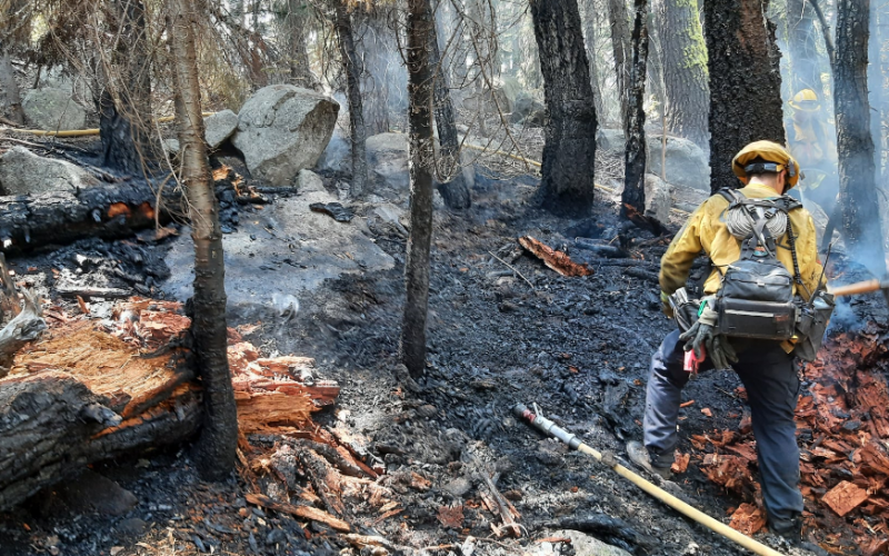 Woman admits to arson near Echo Summit