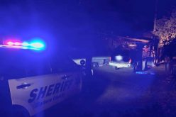 FELONY ARREST IN OAKHURST