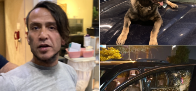 K-9 Miko utilized to arrest rock throwing suspect