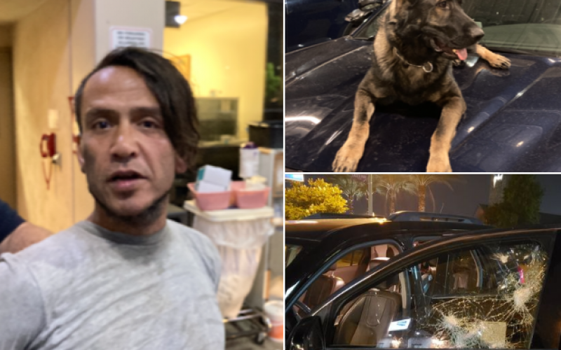 K-9 Miko utilized to arrest rock throwing suspect