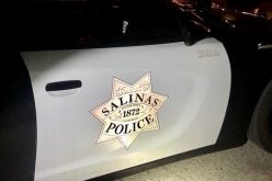 Possession of Stolen Vehicle, Evading Police Arrest