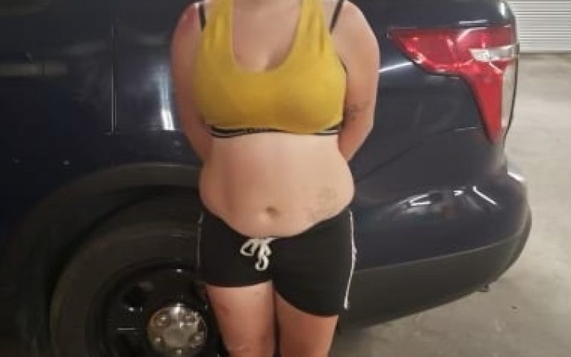 Intoxicated female arrested for animal abuse