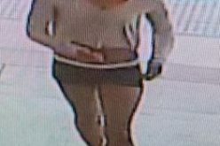 Woman Suspected of Going on a Crime Spree is Arrested in Danville