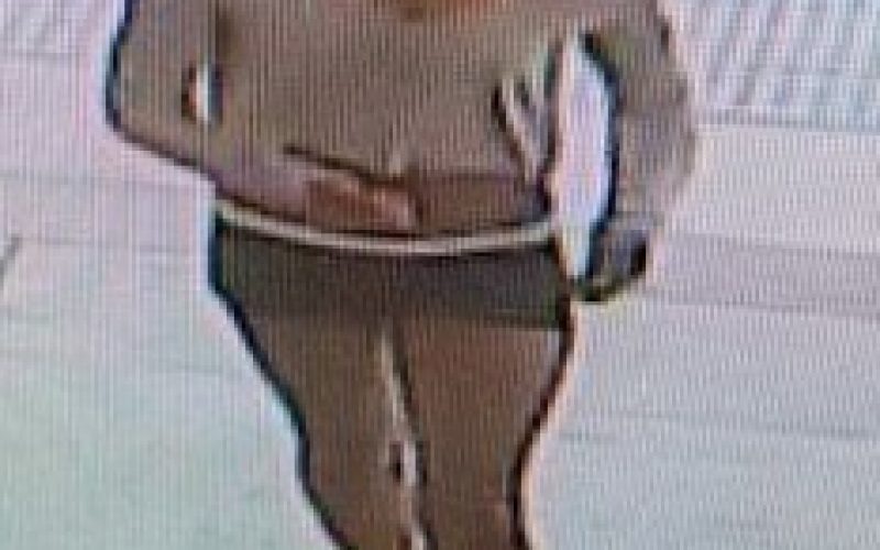 Woman Suspected of Going on a Crime Spree is Arrested in Danville