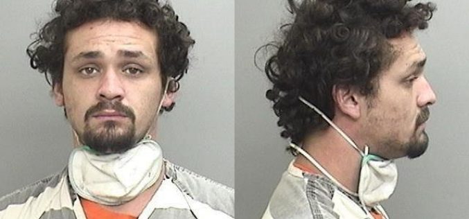 Man arrested in assault and vandalism incident
