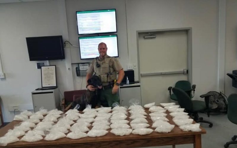 Good Dog! TCSO K9 Dozer Leads Deputies to 65 pounds of Meth