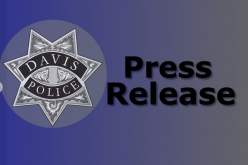 Felony Child Endangerment Arrest