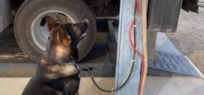 USBP Seizes Liquid Meth at Highway 86 Checkpoint