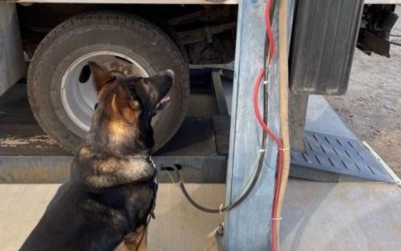 USBP Seizes Liquid Meth at Highway 86 Checkpoint