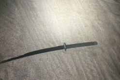 Assault with sword, rock, lands man in jail