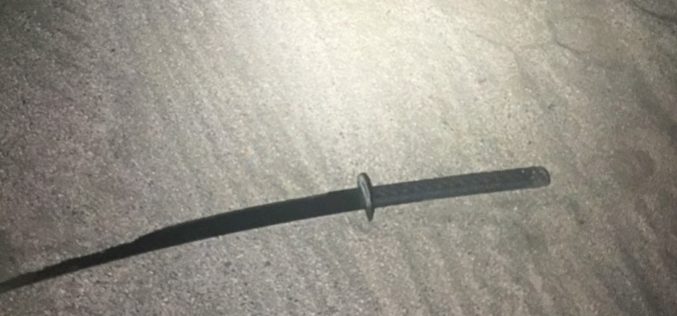 Assault with sword, rock, lands man in jail