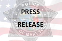 SUSPECT ARRESTED IN ATTEMPTED CATALYTIC CONVERTER THEFT