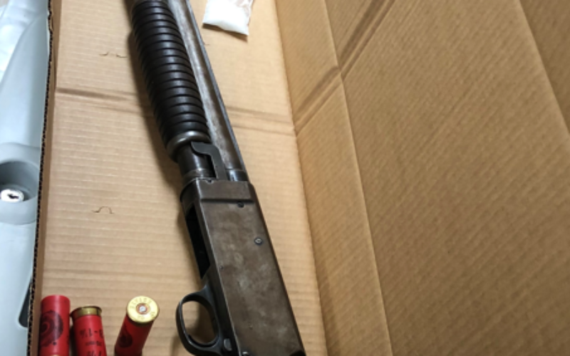 Woman prohibited from owning gun points loaded one at officers