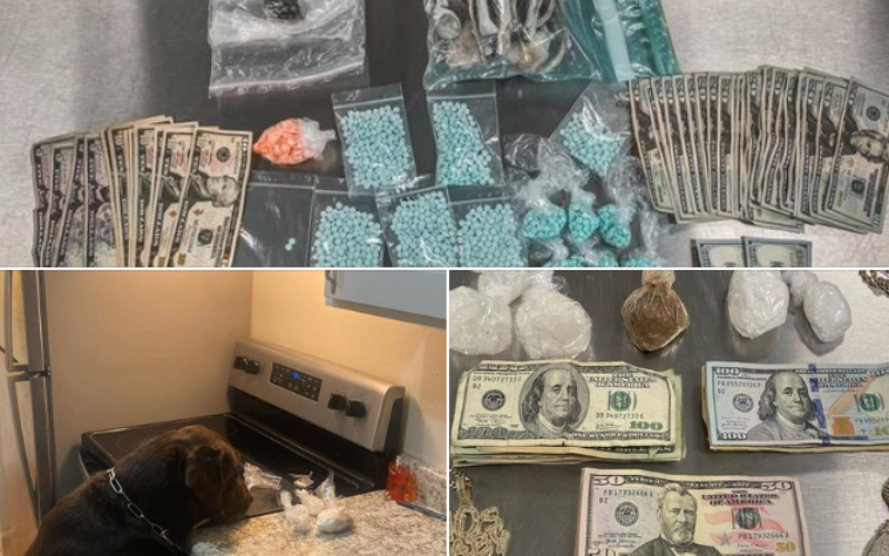 Two search warrants, lots of drugs confiscated
