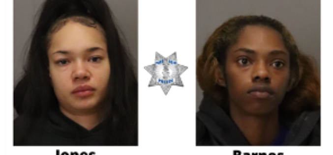 Large Group of Burglars Thwarted; Police Arrest Two