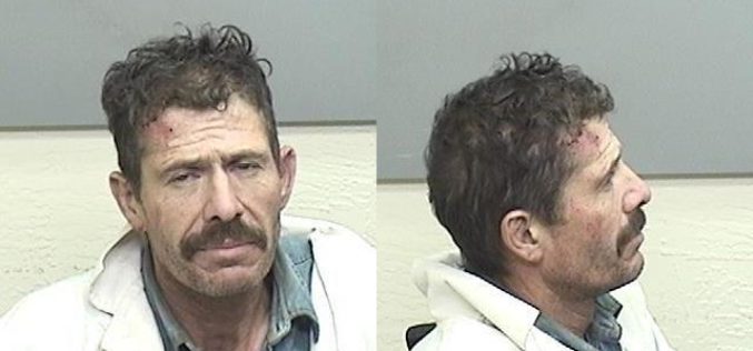 Man throws pool table balls at wife, attacks K-9 Bo