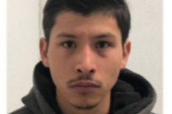 OFFICERS ARREST SUSPECT ON NUMEROUS FELONY VANDALISM CHARGES