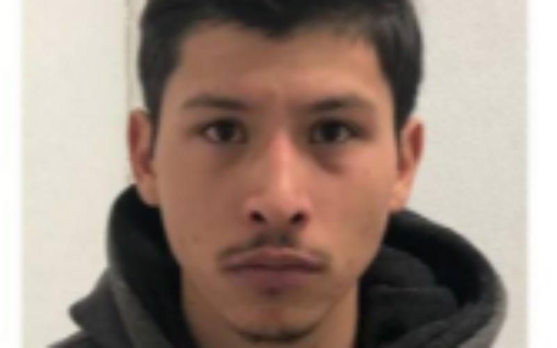 OFFICERS ARREST SUSPECT ON NUMEROUS FELONY VANDALISM CHARGES