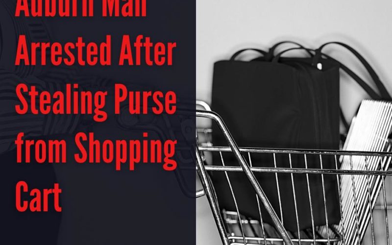 Purse snatching in Target parking lot in Auburn