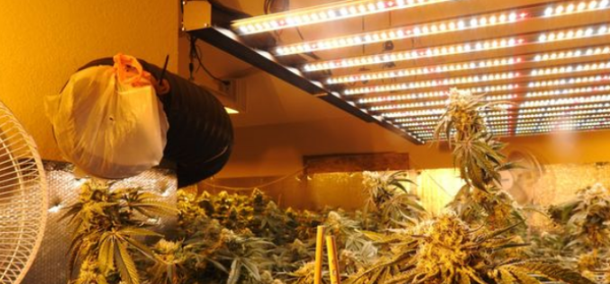 Calaveras County Sheriff’s Office Marijuana Team December 28th, 2021