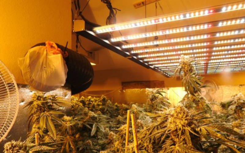 Calaveras County Sheriff’s Office Marijuana Team December 28th, 2021
