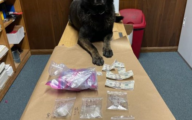 COUNTERFEIT BILL LEADS TO POSSESION OF METH FOR SALES INVESTIGATION