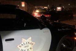 Prowler call leads to arrests