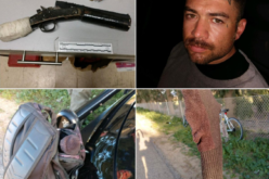 More felons with illegal firearms!