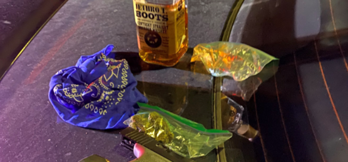 Gun seized during traffic stop