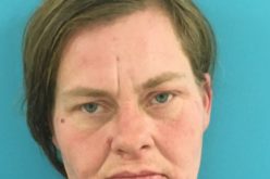 Transient tries to burglarize store before opening time