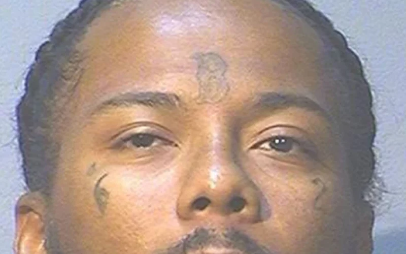 Guilty Plea in the Murder of Philanthropist Jacqueline Avant