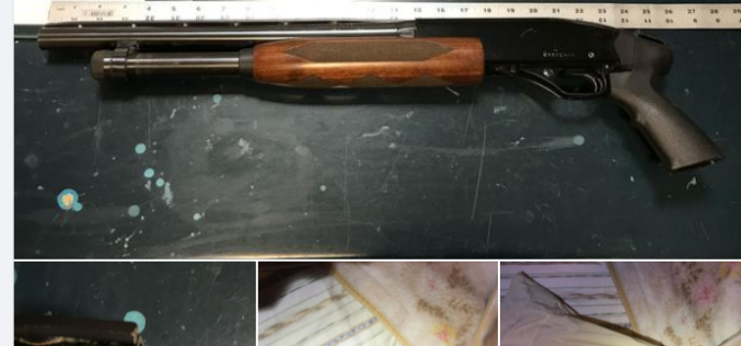 Man brandishes shotgun during argument