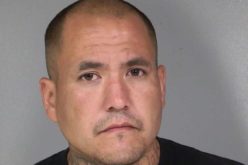 Vehicle stolen during Humboldt Hill burglary recovered, one arrested