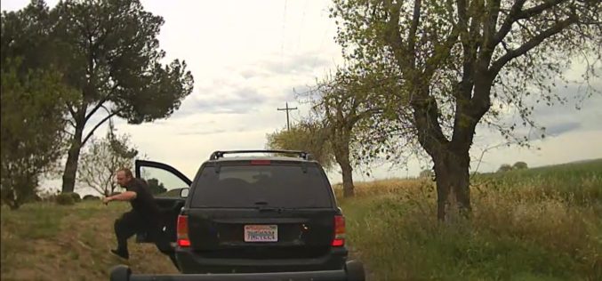 Burglar spotted, chased, arrested