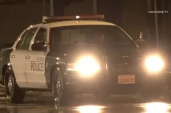 A 17-year-old Anaheim male arrested for shooting death of man at the Anaheim Cinco de Mayo Festival