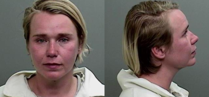 Bay Area woman accused of domestic violence battery in Mendocino County