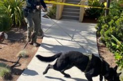 $1M Bail for Stabbing Suspect
