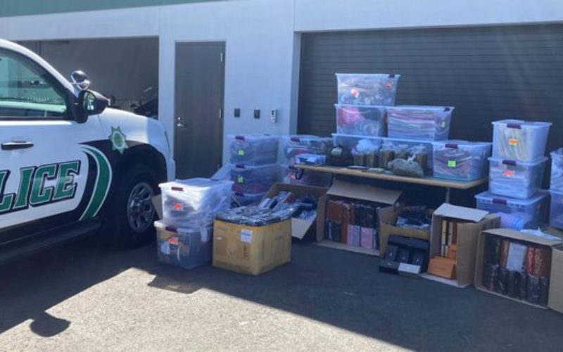 Woman Faces Charges for Sales of Counterfeit Trademark Products