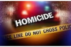 Homicide Investigation: Suspect Identified and Arrested