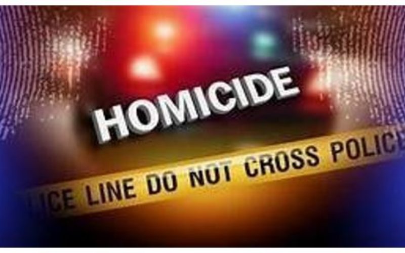 Homicide Investigation: Suspect Identified and Arrested