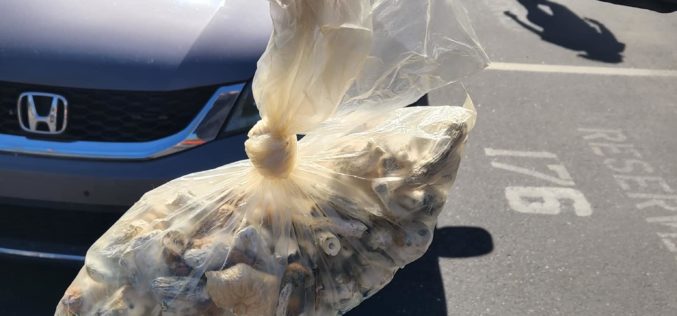 Man caught selling shrooms