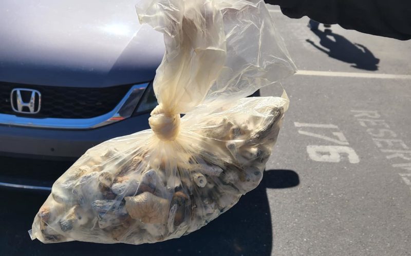 Man caught selling shrooms