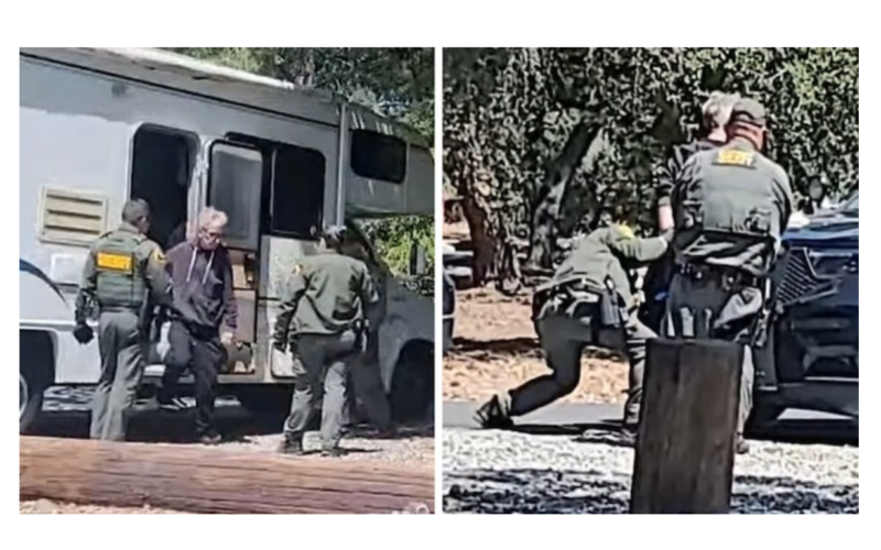 TMZ: Andy Dick arrested on livestream for felony sexual battery