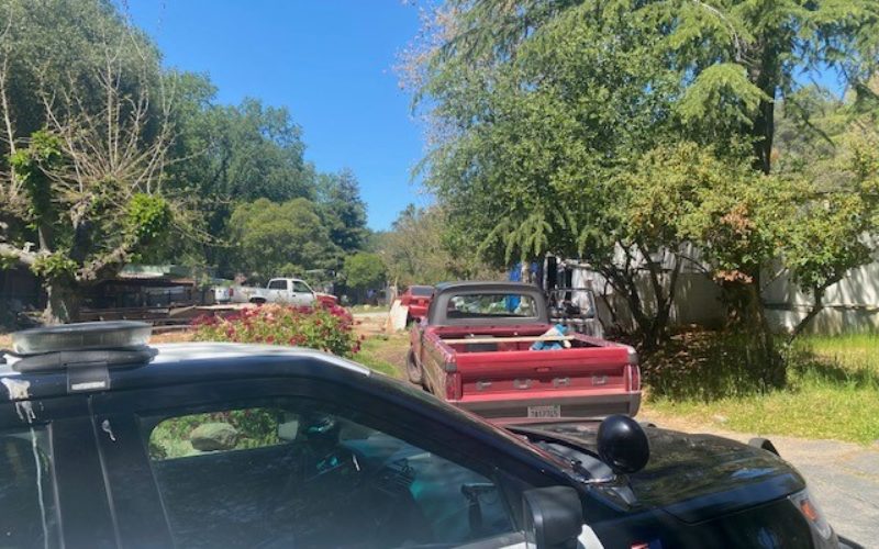 Man with warrant accused of erratically driving stolen pickup