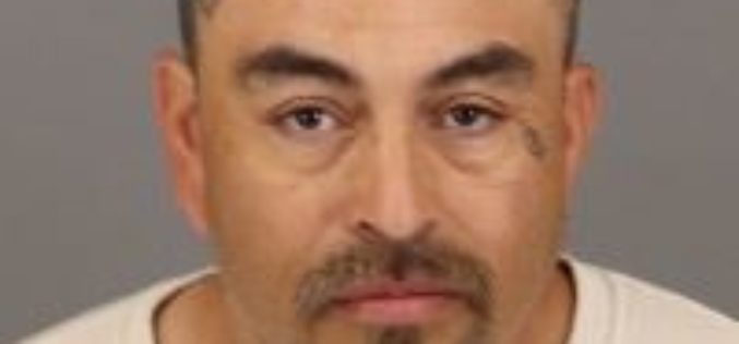 Deputies Chase Impaired Stolen-Vehicle Multiple-Burglary Suspect for Nearly an Hour