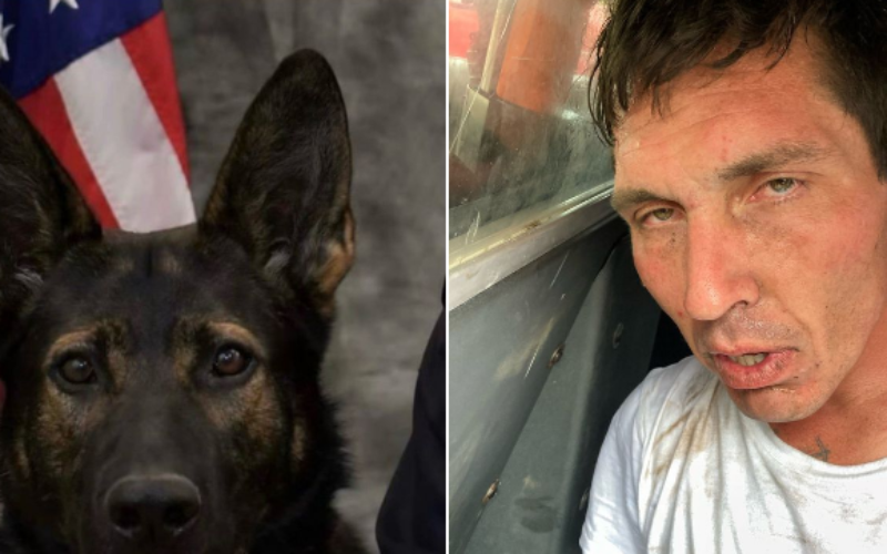 K-9 Chase Locates Wanted Parolee